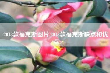 2013款福克斯图片,2013款福克斯缺点和优点