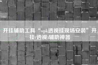 开挂辅助工具“wpk透视挂现场安装”开挂(透视)辅助神器
