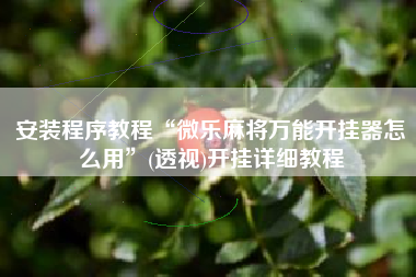 安装程序教程“微乐麻将万能开挂器怎么用	”(透视)开挂详细教程