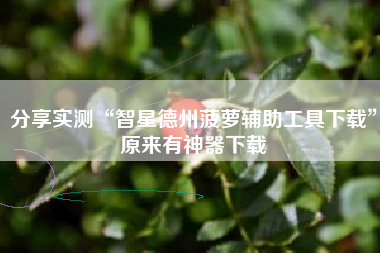 分享实测“智星德州菠萝辅助工具下载	”原来有神器下载