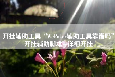 开挂辅助工具“WePoker辅助工具靠谱吗	”开挂辅助脚本+详细开挂