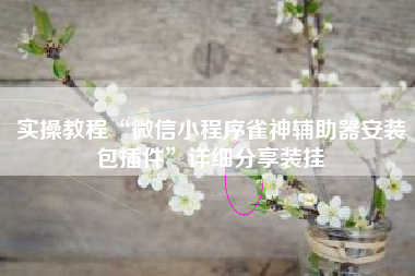实操教程“微信小程序雀神辅助器安装包插件”详细分享装挂
