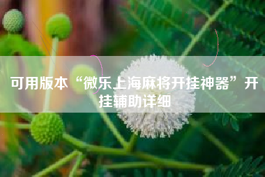 可用版本“微乐上海麻将开挂神器	”开挂辅助详细