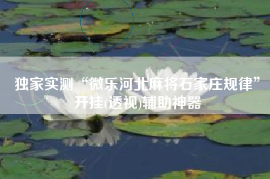 独家实测“微乐河北麻将石家庄规律”开挂(透视)辅助神器