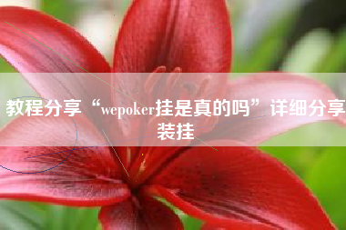 教程分享“wepoker挂是真的吗	”详细分享装挂