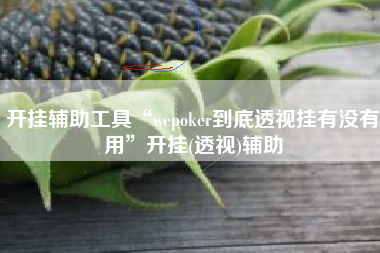 开挂辅助工具“wepoker到底透视挂有没有用”开挂(透视)辅助