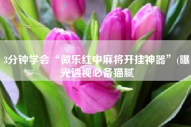 3分钟学会“微乐红中麻将开挂神器	”(曝光透视必备猫腻