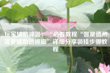 玩家辅助神器：“必看教程“智星德州菠萝辅助透视脚”详细分享装挂步骤教程