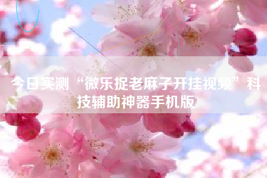 今日实测“微乐捉老麻子开挂视频”科技辅助神器手机版