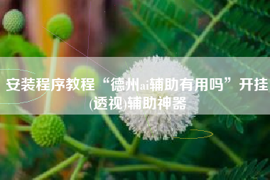 安装程序教程“德州ai辅助有用吗”开挂(透视)辅助神器