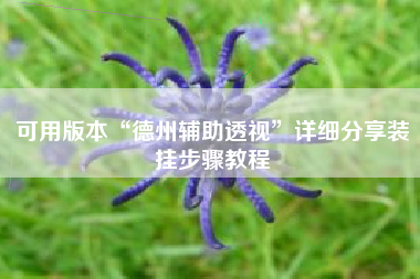 可用版本“德州辅助透视	”详细分享装挂步骤教程