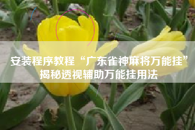 安装程序教程“广东雀神麻将万能挂	”揭秘透视辅助万能挂用法