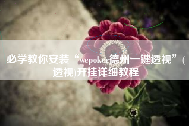 必学教你安装“wepoker德州一键透视	”(透视)开挂详细教程