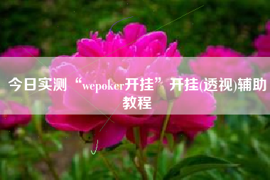 今日实测“wepoker开挂”开挂(透视)辅助教程