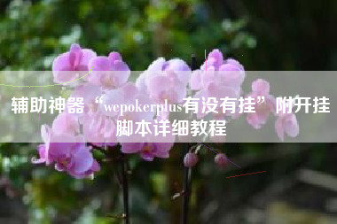 辅助神器“wepokerplus有没有挂”附开挂脚本详细教程