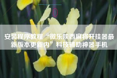 安装程序教程“微乐陕西麻将开挂器最新版本更新内	”科技辅助神器手机