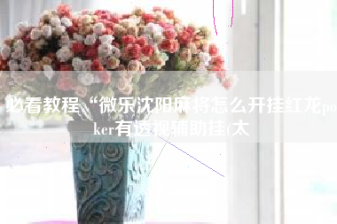 必看教程“微乐沈阳麻将怎么开挂红龙poker有透视辅助挂(太