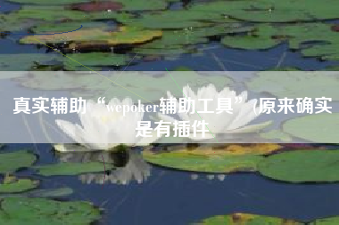 真实辅助“wepoker辅助工具”(原来确实是有插件