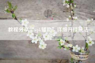 教程分享“wpk辅助	”详细开挂玩法