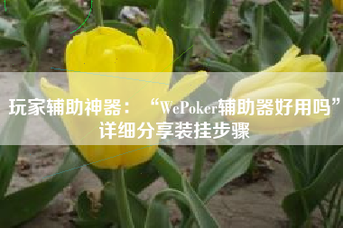 玩家辅助神器：“WePoker辅助器好用吗”详细分享装挂步骤