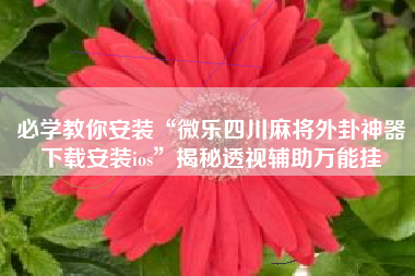 必学教你安装“微乐四川麻将外卦神器下载安装ios	”揭秘透视辅助万能挂