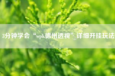 3分钟学会“wpk德州透视”详细开挂玩法