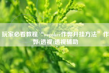 玩家必看教程“wepoker作弊开挂方法	”作弊(透视)透视辅助