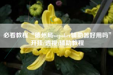 必看教程“德州局wepoker辅助器好用吗”开挂(透视)辅助教程