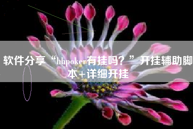 软件分享“hhpoker有挂吗？”开挂辅助脚本+详细开挂