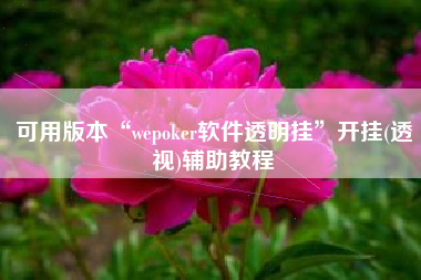 可用版本“wepoker软件透明挂”开挂(透视)辅助教程
