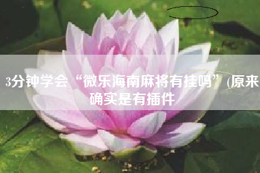 3分钟学会“微乐海南麻将有挂吗”(原来确实是有插件