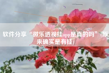 软件分享“微乐透视挂app是真的吗”(原来确实是有挂)