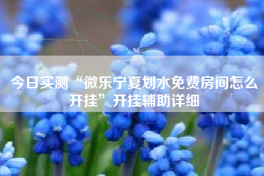 今日实测“微乐宁夏划水免费房间怎么开挂”开挂辅助详细