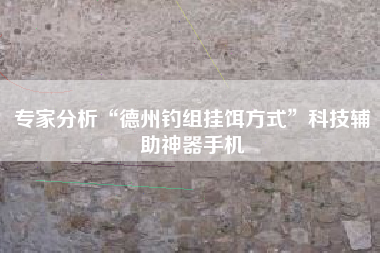 专家分析“德州钓组挂饵方式	”科技辅助神器手机