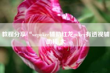 教程分享“wepoker辅助红龙poker有透视辅助挂(太