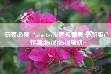 玩家必搜“wepoker发牌规律表(最新版)”作弊(透视)透视辅助