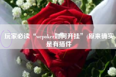 玩家必读“wepoker如何开挂”(原来确实是有插件