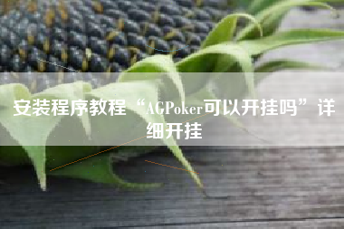 安装程序教程“AGPoker可以开挂吗”详细开挂