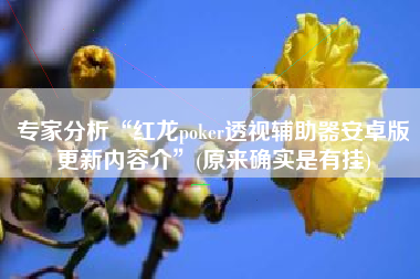 专家分析“红龙poker透视辅助器安卓版更新内容介	”(原来确实是有挂)