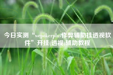 今日实测“wepokerplus作弊辅助挂透视软件”开挂(透视)辅助教程