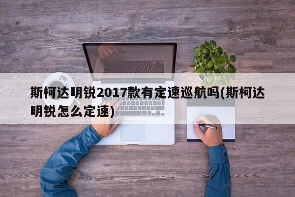 斯柯达明锐2017款有定速巡航吗(斯柯达明锐怎么定速)