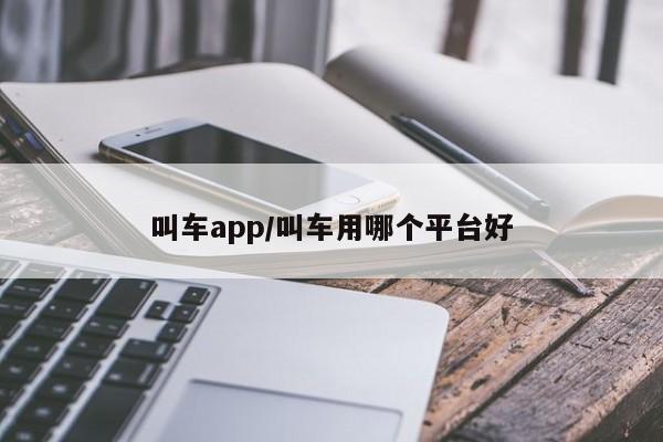 叫车app/叫车用哪个平台好